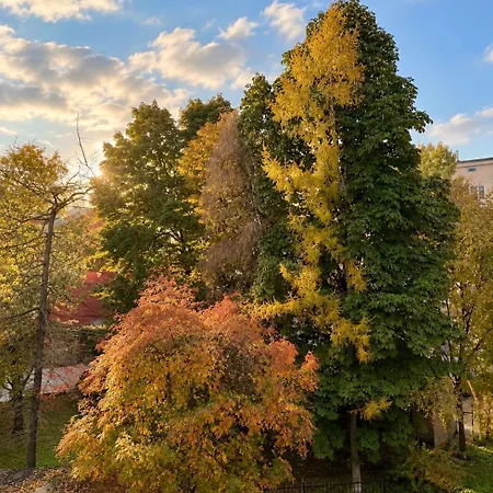 Cosy Reiman Center Free Parking *